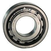 Link-Belt (Rexnord) MU1309TV Cylindrical Roller Bearing - Apollo Industries llc