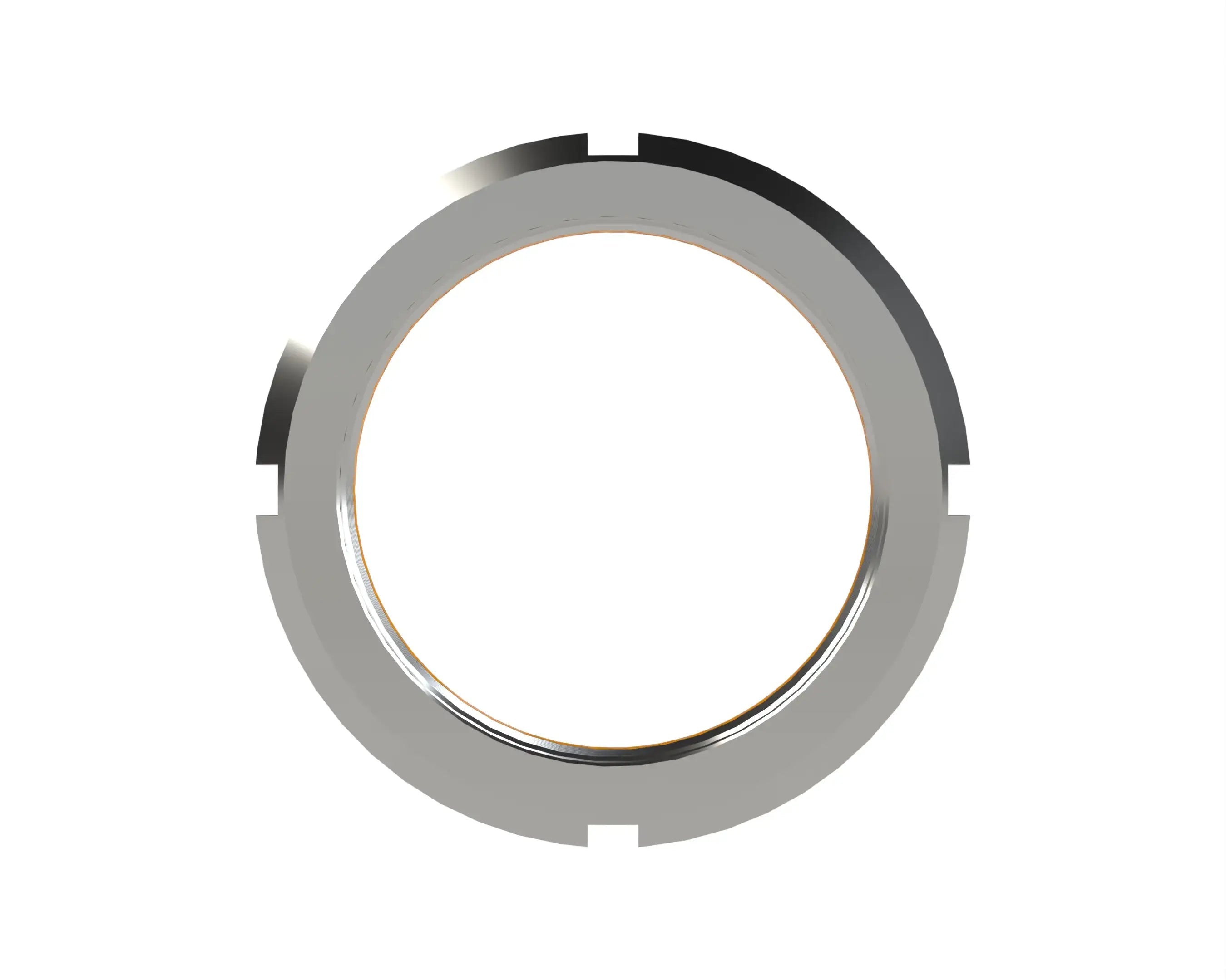 Whittet-Higgins BHS-065 Stainless BEARHUG Locknut
